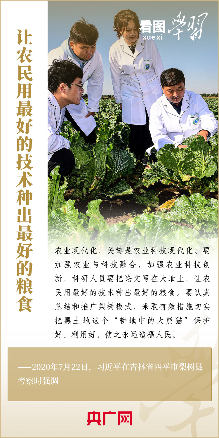 看图学习丨当好国家粮食稳产保供“压舱石”是东北的首要担当