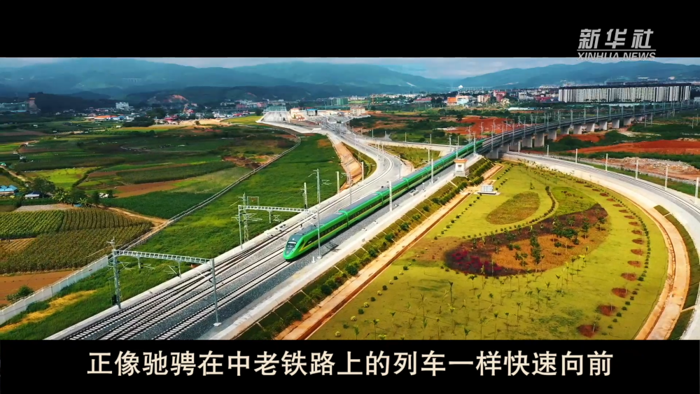 微纪录片丨光明大道