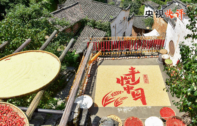 【央视快评】让农民腰包越来越鼓、生活越来越美好——庆祝第六个“中国农民丰收节”