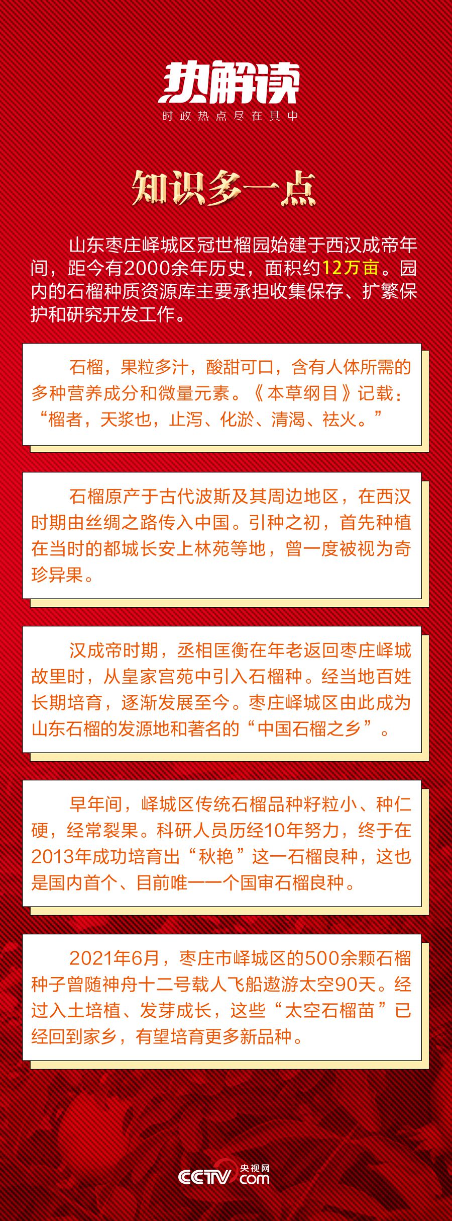 热解读｜火红石榴如何带来红火生活 总书记再谈这篇“大文章”