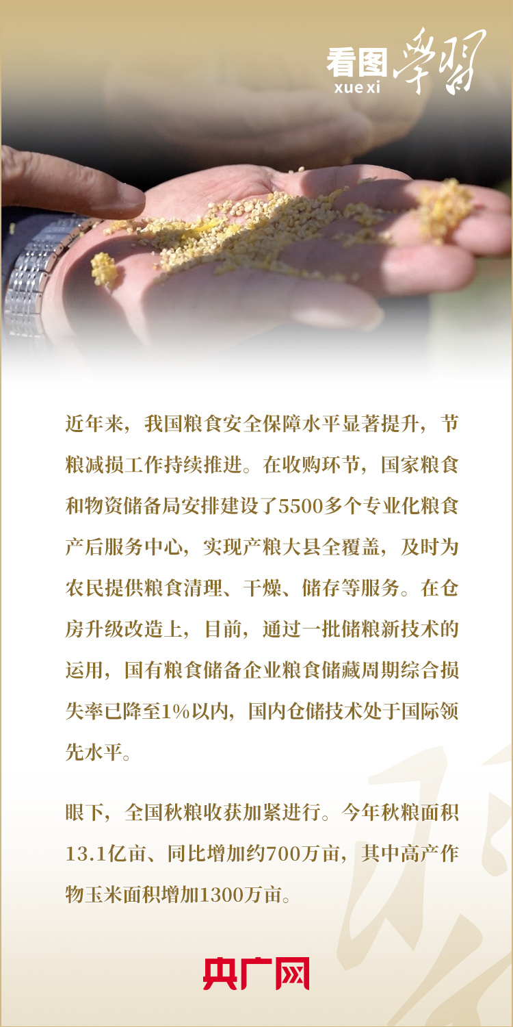 看图学习丨保障粮食安全 要在增产和减损两端同时发力