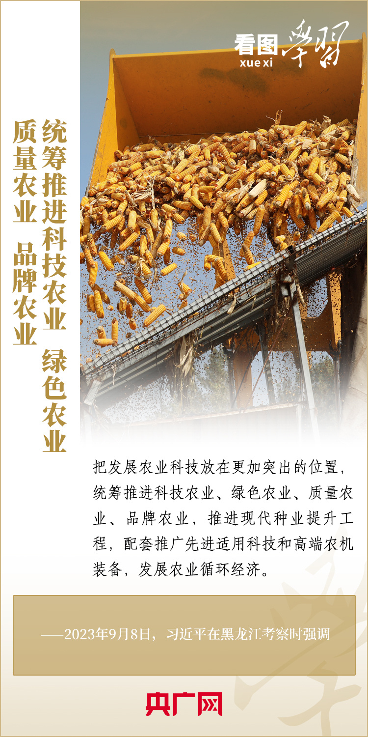 看图学习丨保障粮食安全 要在增产和减损两端同时发力