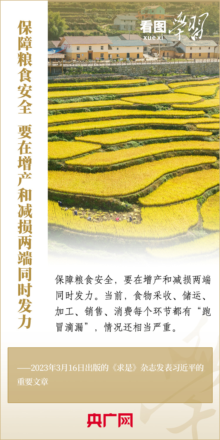 看图学习丨保障粮食安全 要在增产和减损两端同时发力
