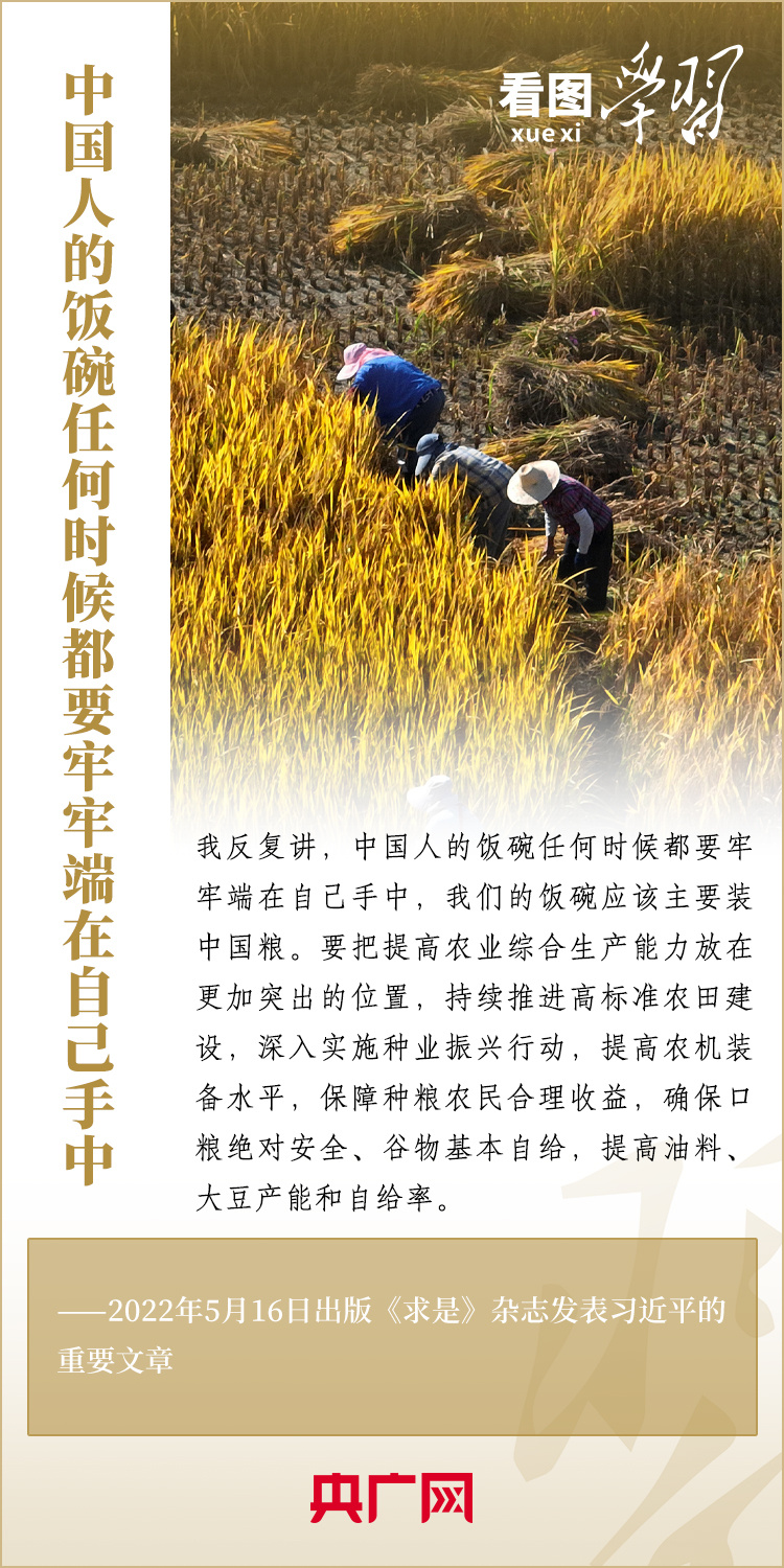 看图学习丨保障粮食安全 要在增产和减损两端同时发力