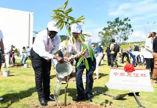 11月14日，参加中非农业合作论坛的嘉宾在海南省三亚市吉阳区大茅村共植中非友谊林。新华社记者 杨冠宇 摄