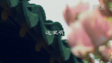 跟着总书记的考察足迹丨这里是长三角！
