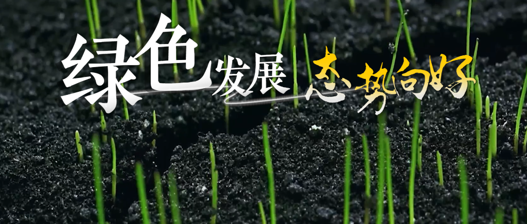 微视频丨奋楫扬帆 绘就高质量发展新画卷