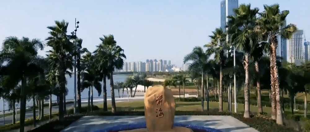重磅微视频丨关键一招