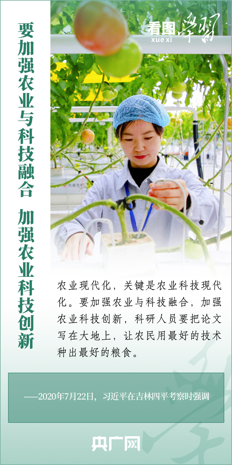看图学习丨强国必先强农 农强方能国强