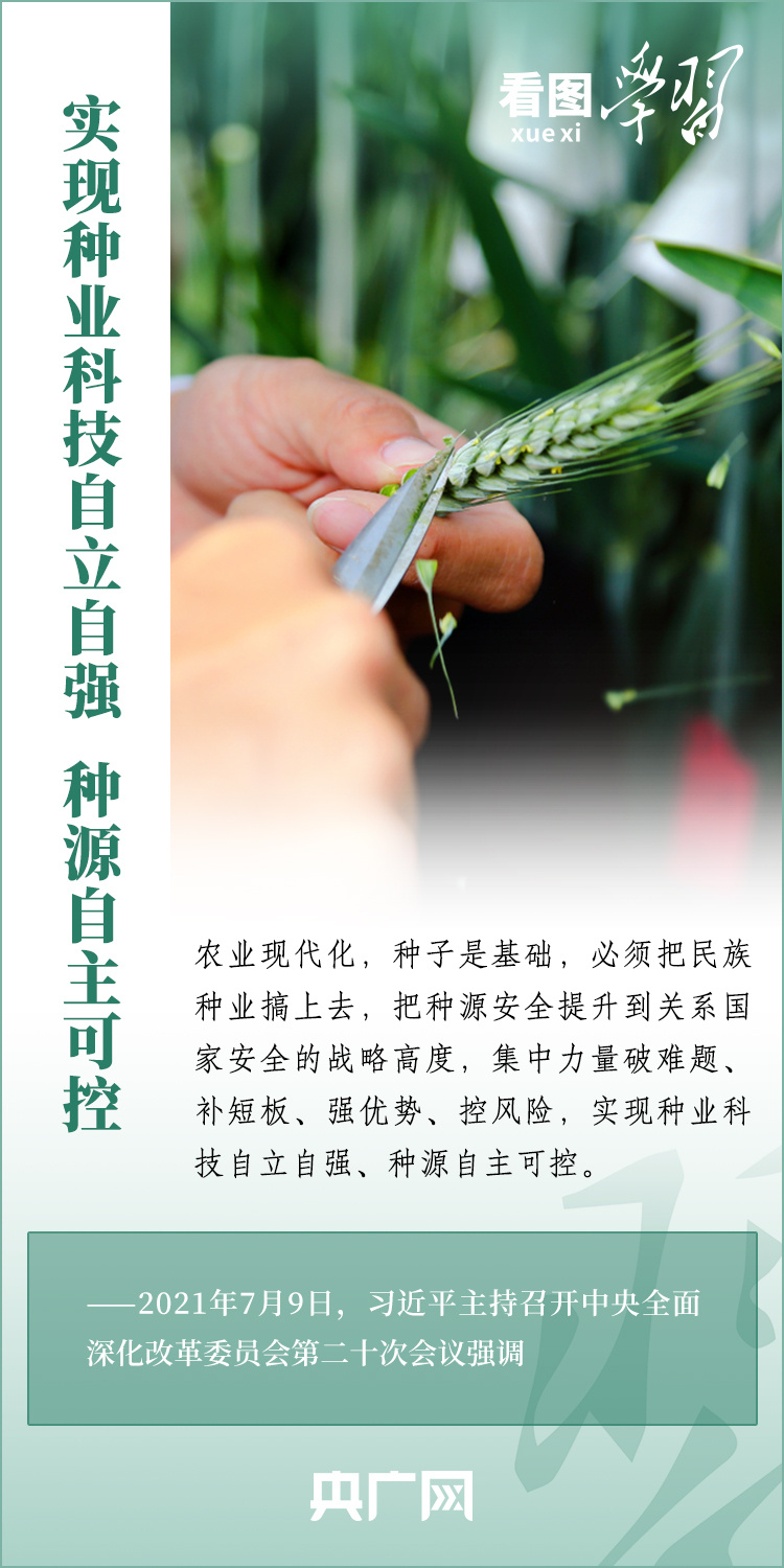 看图学习丨强国必先强农 农强方能国强