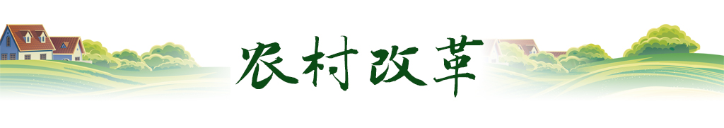 卫星视角｜跟随总书记足迹，看我国农业新图景