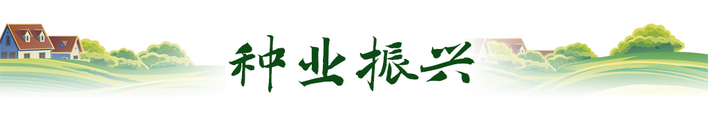 卫星视角｜跟随总书记足迹，看我国农业新图景