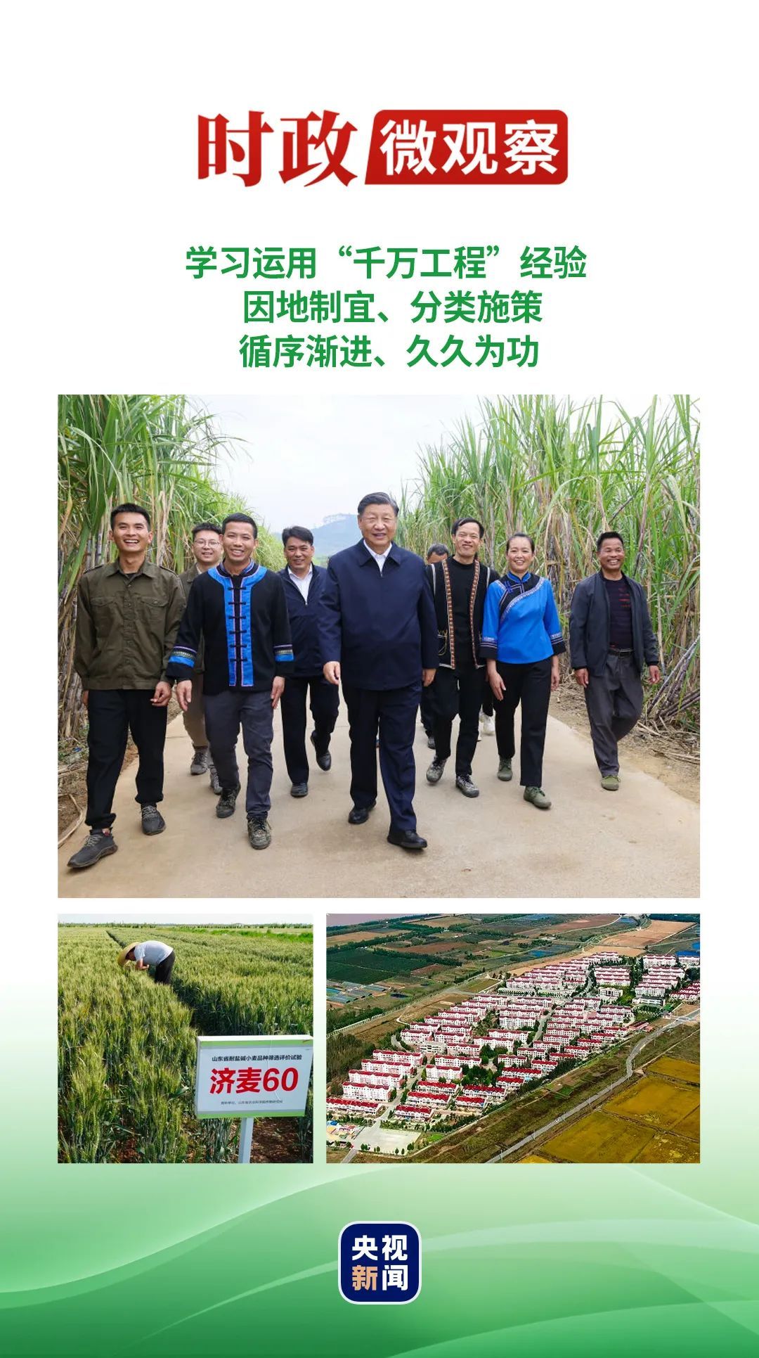 时政微观察丨推进乡村全面振兴是“三农”工作总抓手